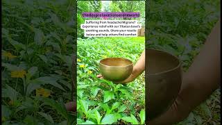 Headache Relief with Tibetan Bowl Soothing Sounds for Migraine Relief 🌟 shorts [upl. by Freeman353]