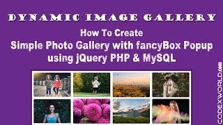 Create Dynamic Image Gallery with jQuery PHP and MySQL [upl. by Mauldon915]