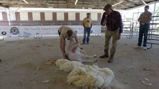 The Sheep Games Cammy Wilson Shearing Demo at the North American Hill Sheep Show [upl. by Esilehs]