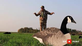 The BASICS Of Setting FIELD Decoy Spreads For GOOSE Hunting [upl. by Angle]