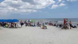 Palmetto Dunes Hilton Head Island Beach [upl. by Irreg805]