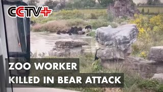 Shanghai Zoo Worker Killed in Bear Attack [upl. by Benjamen]