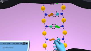 DNA Packaging and Cell Division 3D animation by Labster [upl. by Namyac]