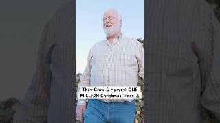 Harvesting ONE MILLION Christmas Trees In Oregon [upl. by Enelad]