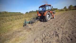 Wykopki Ziemniaków 2024  Zetor 3011 [upl. by Ellicec194]