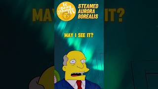 NORTHERN LIGHTS x The Simpsons simpsons comedy funny [upl. by Anon288]