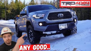 Toyota Tacoma TRD OFFROAD Review Heavy Duty Mechanic  The Best TRD Package [upl. by Assenej335]