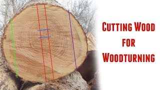 Cutting Logs into Turning Blanks  Part 1 [upl. by Musette]