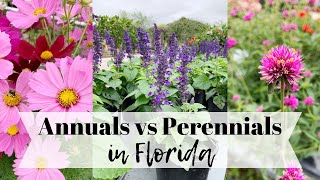 Annuals vs Perennials in Florida with Theresa [upl. by Guerra33]