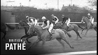 Grand National 1964 [upl. by Neill]