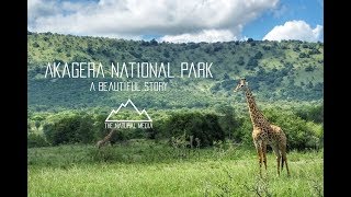 Akagera National Park Safari  Rwanda  A Beautiful Story [upl. by Ailadi400]