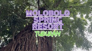 Explore Molobolo Spring  Tuburan Cebu  Marvin Somera Travel Vlog [upl. by Margherita142]