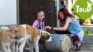 Welpenschutz Folge 59  Tiere bis unters Dach [upl. by Siegel]