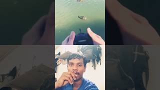 Crocodile 🐊 attacked  🤒 funnny 🤣😂 😁 Collab। Vidioshortvideo [upl. by Aivatnuhs826]