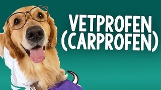 Vetprofen carprofen Caplets for use on Dogs with Osteoarthritis [upl. by Macguiness]