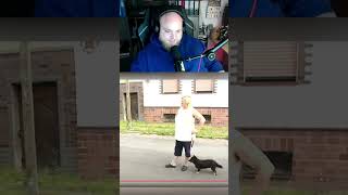 Tierliebe  chaze2795 auf Twitch tiere animals animalloving [upl. by Yevette296]