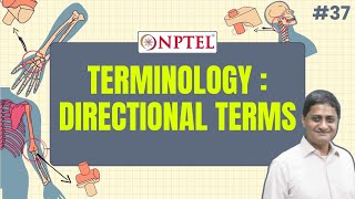 37 Terminology  Directional Terms amp Planes  Primary Motor Cortex  Part 1 [upl. by Ttesil]