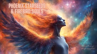 Phoenix Starseeds amp Firebird Souls [upl. by Gaughan550]