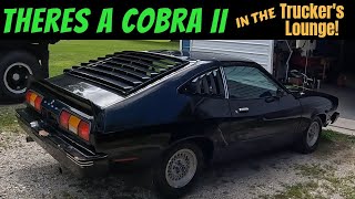 78 Ford Mustang ll Cobra gets a second chance 302V8 Pt1 [upl. by Carolyne999]