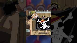 Mugiwaras en la vida real onepiece luffy zoro [upl. by Elie]