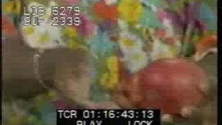 Rustie Lee with Faith Brown on TVam  1991 [upl. by Knipe]