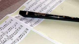 Greensleeves played on Penny Whistle Tin Whistle [upl. by Hisbe986]