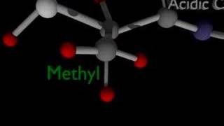 Science Animation amino acids [upl. by Chicky316]