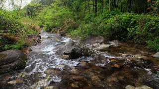 Relaxing river sounds for sleeping  Nature flowing water sound in the forest  White noise  ASMR [upl. by Eneloc]