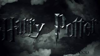 Harry Potter Opening  After Effects [upl. by Niassuh]