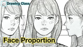 How to draw face  Face Proportions Drawing [upl. by Ahsirkal105]