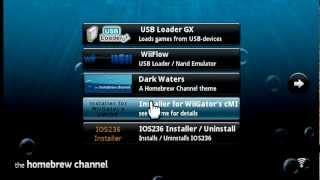 USB Loader GX 30 Installation on Any Wii System Step by Step [upl. by Eioj]