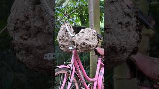 If you had this bike who would you give it to😂  Tropical Forest Bees wasp [upl. by Erdied918]