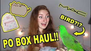 PO BOX HAUL amp UNBOXING FANMAIL PR PUSHEEN amp MORE  Pretty Pastel Parcels 1 [upl. by Cired]