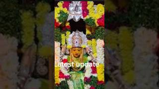 Gajularamaram Chittaramma Jathara 2025 latest updates [upl. by Ifen128]