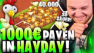 😍😰1 MAL HayDay  Rekord im PAYEN  Ich mache meine ZUSCHAUER Toxic [upl. by Tomlinson]