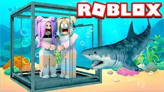 IM KÄFIG VOM KILLER HAI 🦈 ✿ Roblox DeutschHD [upl. by Redford]