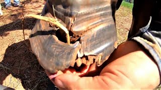 Baita BURACO  HOOF RESTORATION [upl. by Atterrol366]