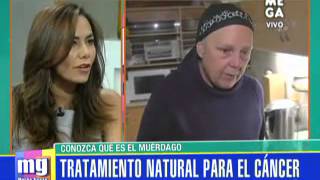 Muérdago tratamiento natural para el cancer [upl. by Jandel]