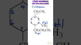 CÓMO NOMBRAR UN CICLOALCANO [upl. by Kroy]