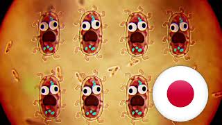 The Amazing World of Gumball  Bacteria song Japanese NTSC [upl. by Erde]