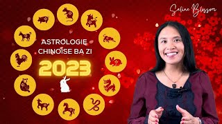 Astrologie chinoise 2023  Année du Lapin [upl. by Shorter]