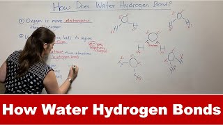 How Water Forms Hydrogen Bonds [upl. by Zweig]