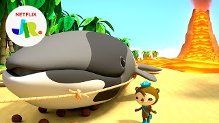 The Whaley Big Lava Rescue 🐋🌋 Octonauts amp the Ring of Fire  Netflix Jr [upl. by Hinda51]