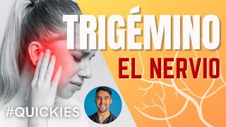 El Trigémino Funciones del Nervio del Nervio V [upl. by Kantos]