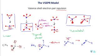 VSEPR Theory and Molecular Geometry  CH4 NH3 H2O [upl. by Eelrahs]