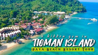 Paya Beach Resort Tioman  Best Things to do amp stay in Tioman Island  Malaysia [upl. by Goldberg13]