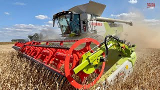 CLAAS Lexion 760 TT Harvesting Wheat [upl. by Yanarp]