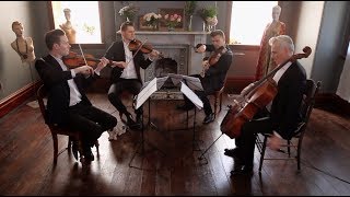 Skyfall  James Bond  Stringspace String Quartet [upl. by Airamak]