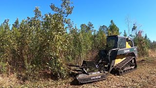 MONSTER MODE ACTIVATED MTL XC8T Clearing On A Cattle Ranch [upl. by Vanna]