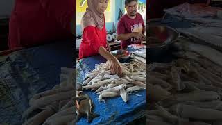 Belanja Ikan buat sayur sahur terahir [upl. by Norrahc167]